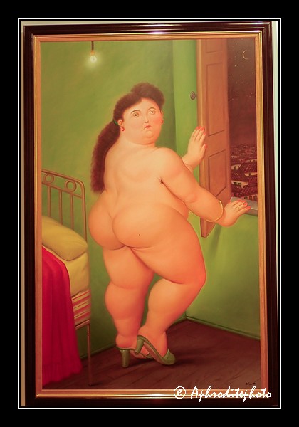 14 Museum Botero